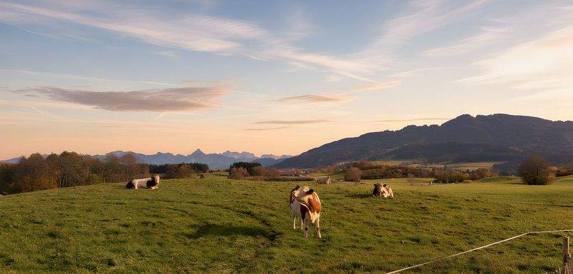 Sonnenaufgang Impression