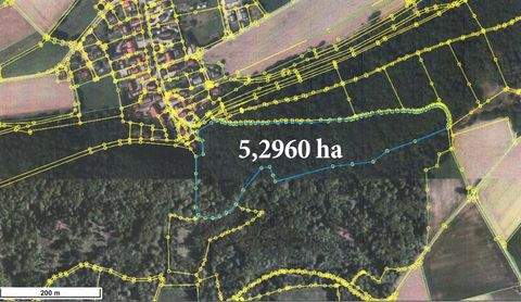 Kinding Bauernhöfe, Landwirtschaft, Kinding Forstwirtschaft