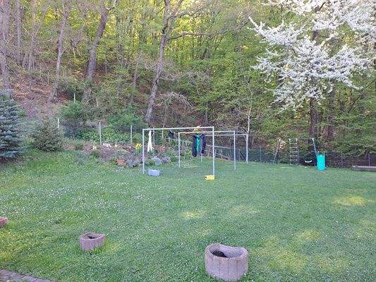 Freifläche und Garten