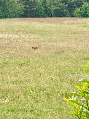 Mühlenfließ 16 - 1 von 7