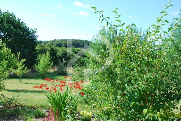 Der Garten