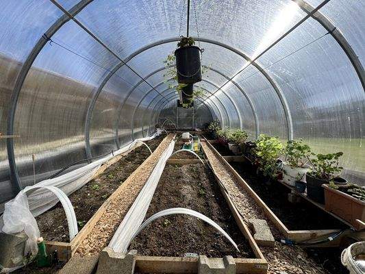Gewächshaus 
