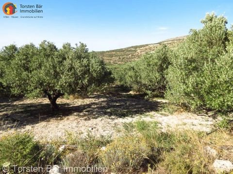 Maronia-Sitia Bauernhöfe, Landwirtschaft, Maronia-Sitia Forstwirtschaft