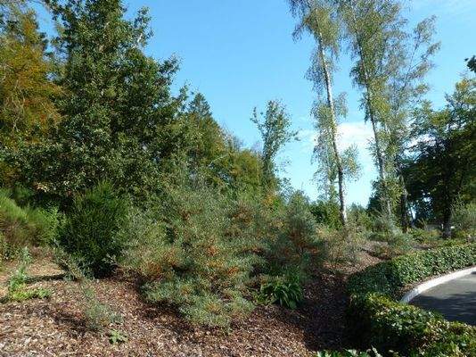 Impressionen vom Grundstück