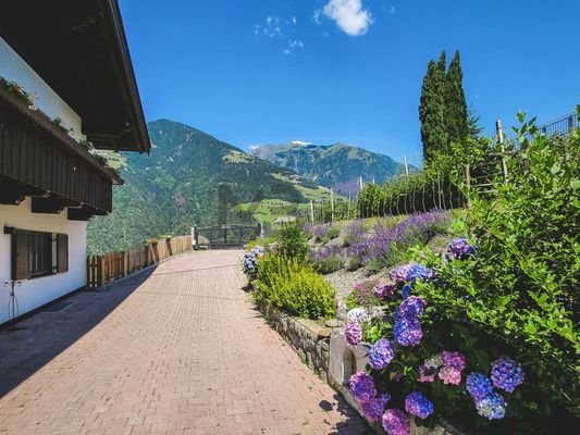 Zufahrt, Hofraum und Garten - accesso, cortile e giardino