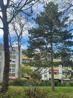 Hausansicht Rückseite