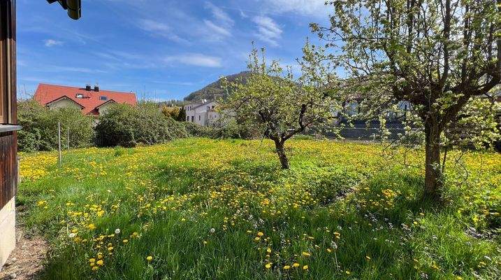 Hier entsteht Ihr neues Heim