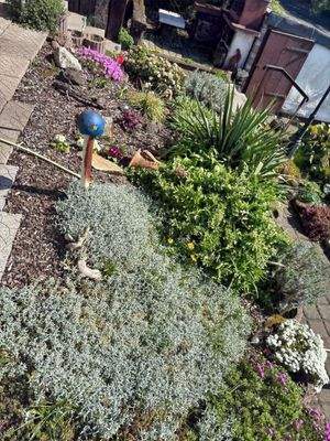 Eingangsbereich Garten