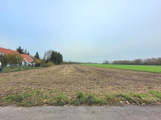 Landwirtschaftliches Grundstück