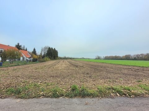 Unterschleißheim Bauernhöfe, Landwirtschaft, Unterschleißheim Forstwirtschaft