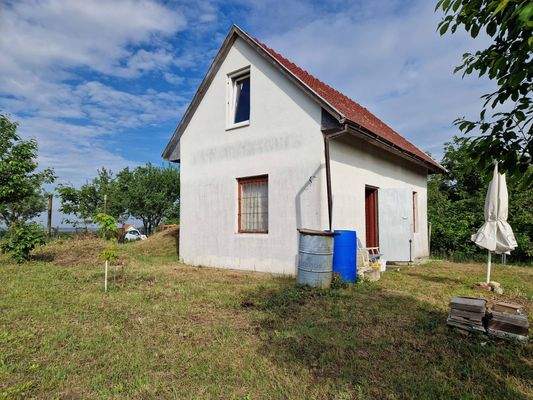 20250507_084353 (1).jpg