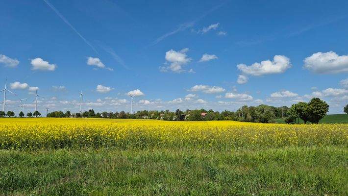 angrenzende landwirtschaftliche Flächen