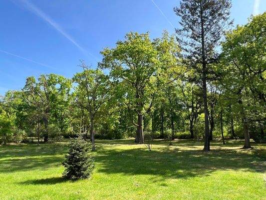 Gemeinschaftsgarten mit Blick in den Park