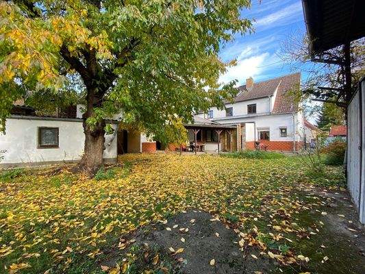 Hofansicht / Terrasse / Kirschbaum