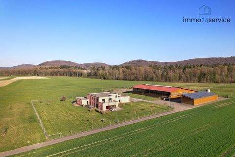 Klettgau / Erzingen Häuser, Klettgau / Erzingen Haus kaufen