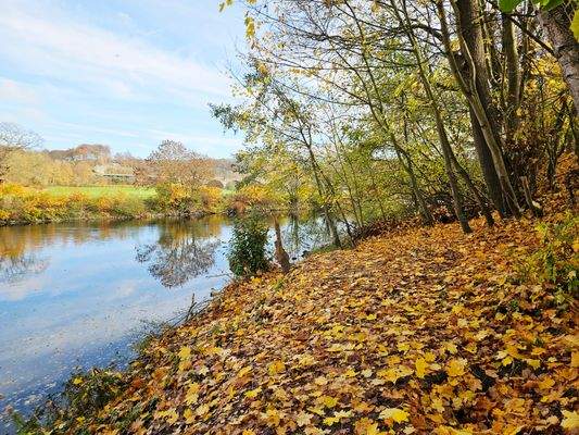 Direkter Zugang zur Ruhr