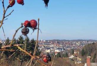 Blick vom Grundstück auf Plauen