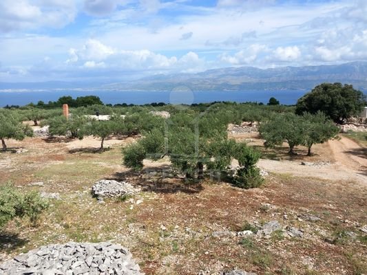 Idyllisches Landwirtschafts- und Forstwirtschaftsgrundstück auf Brač