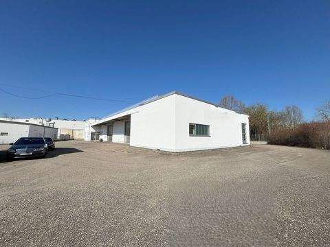 Ulm Halle, Ulm Hallenfläche