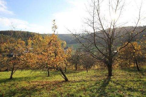 Breuberg, OT Wald-Amorbach Grundstücke, Breuberg, OT Wald-Amorbach Grundstück kaufen