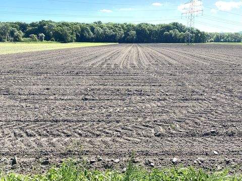 Minden Bauernhöfe, Landwirtschaft, Minden Forstwirtschaft