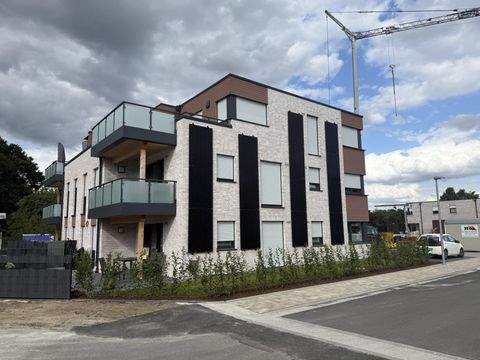 Lotte Wohnungen, Lotte Wohnung kaufen