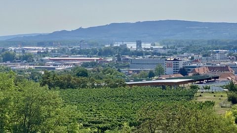 Krems an der Donau Wohnungen, Krems an der Donau Wohnung kaufen