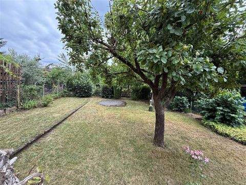 Bous Häuser, Bous Haus kaufen