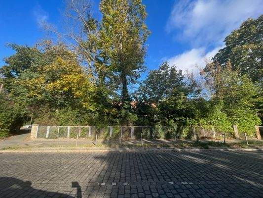 Werlseestraße Baugrundstück (6).jpg