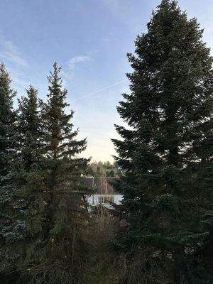 Balkon mit Blick ins Grüne