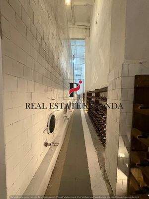 WhatsApp Image 2025-08-27 at 18.00.40 (2).jpeg