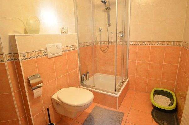 TL-Bad im Hanggeschoss