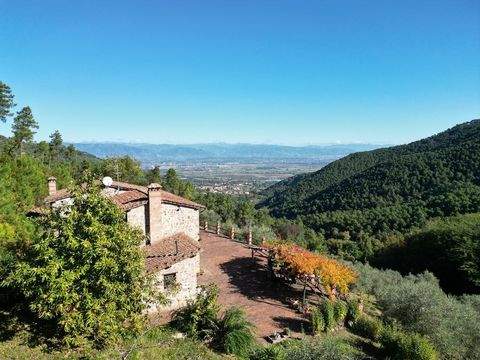 Buti/Pisa Häuser, Buti/Pisa Haus kaufen