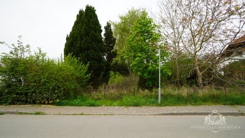 Dreschvitz Grundstücke, Dreschvitz Grundstück kaufen