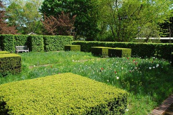 Britzer Garten