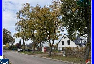 Blick von der Straße zum Doppelhaus