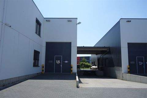 Berlin Halle, Berlin Hallenfläche