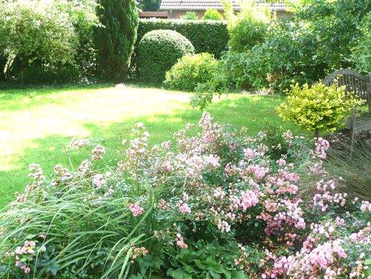 pflegeleichte Gartenanlage