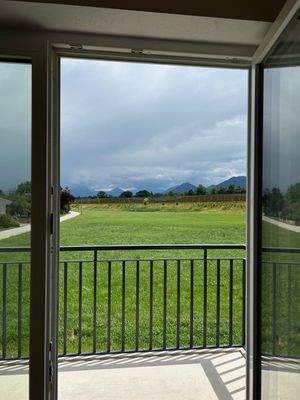 Ausblick ins Grüne