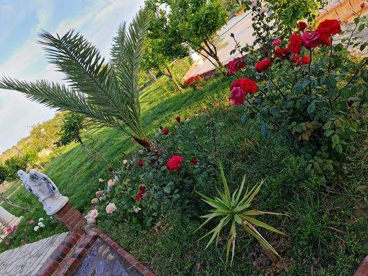 WhatsApp Image 2023-06-15 at 12.01.49 (1).jpeg