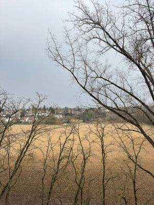 Ausblick Balkon / Schlafzimmer