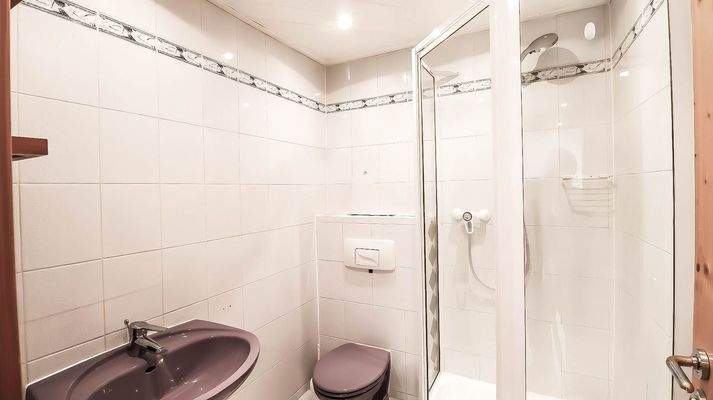 Gäste-WC mit Dusche (EG)