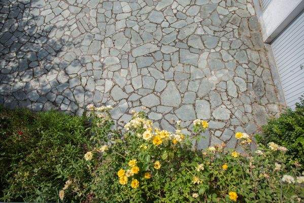 Parkflächen vor dem Haus