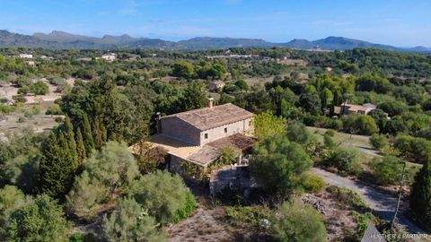 Artà Häuser, Artà Haus kaufen