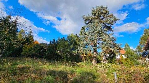 Kammerstein Grundstücke, Kammerstein Grundstück kaufen