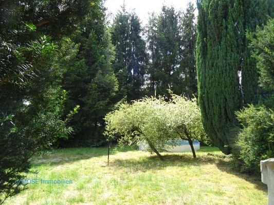 Gartenimpression hinterer Bereich