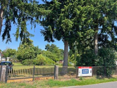 Zeesen Grundstücke, Zeesen Grundstück kaufen