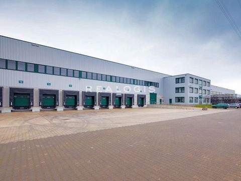 Hünxe Halle, Hünxe Hallenfläche