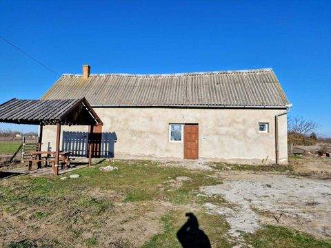 Orgovány Bauernhöfe, Landwirtschaft, Orgovány Forstwirtschaft