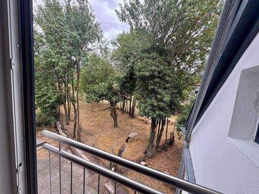 Französischer Balkon OG1 4,5 Z